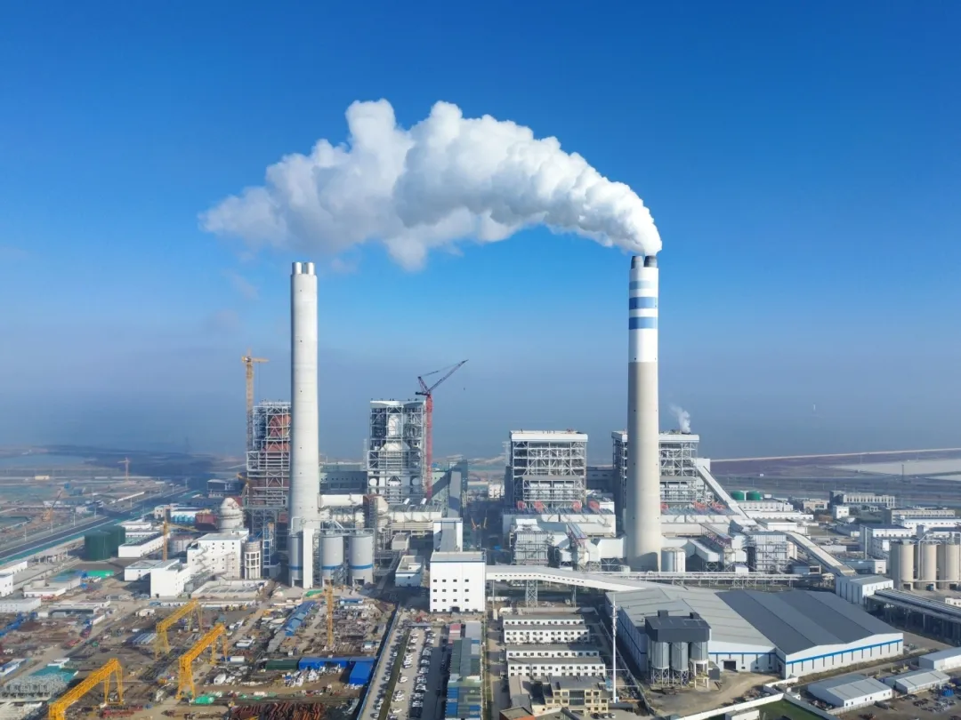 1739928334669230.png 1739928334669230.png